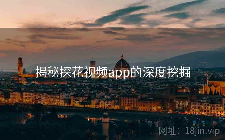 揭秘探花视频app的深度挖掘