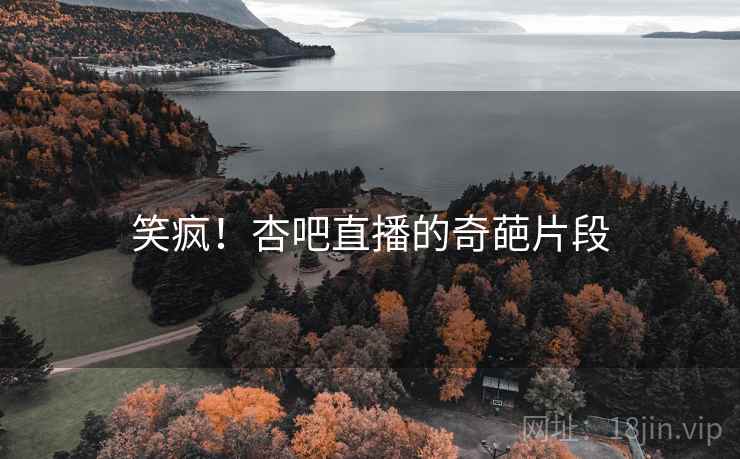 笑疯！杏吧直播的奇葩片段
