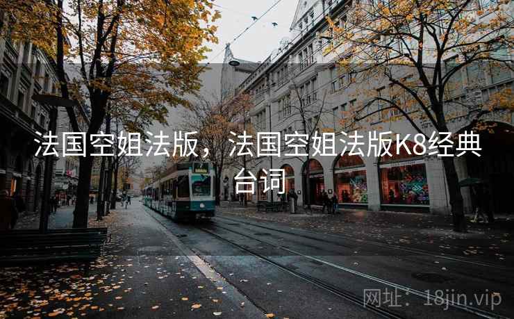 法国空姐法版，法国空姐法版K8经典台词