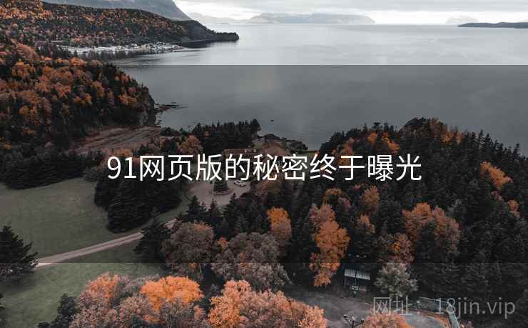 91网页版的秘密终于曝光